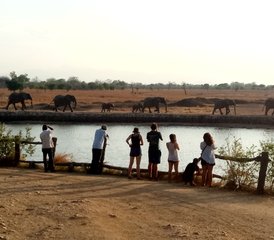 2 jours en stage de safari dans le parc national de Mikumi, Tanzanie depuis Dar es Salaam - Photo 5