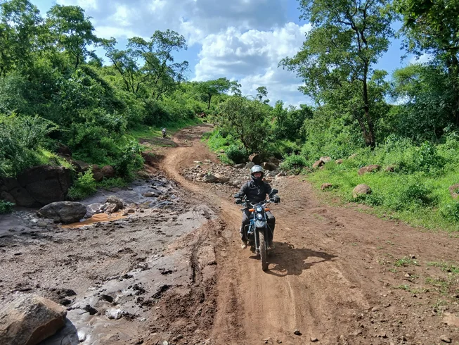 4 Day Guided Motorcycle Tour in Kenya with Wildlife Adventure Through The Mara and Western Mau photo 4