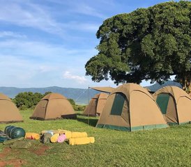 4 Tage Fantastische Camping Wildtier Safari in Tansania - Photo 5