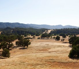 4 Day Yoga, Peace, and Quiet Retreat in Santa Margarita, California, USA - Photo 5