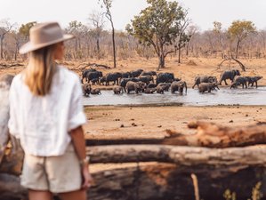 8 Day Yoga Wildlife Retreat in Zimbabwe