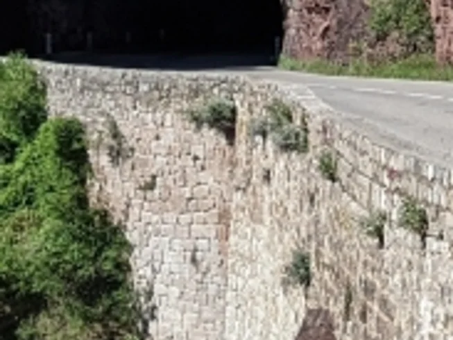 11 Day Guided Great Alps Road and Provence Motorcycle Tour in France photo 10