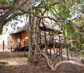 95 Day Lodge and Treehouse Safari in Balule Nature Reserve and Kruger National Park, South Africa - Photo 1