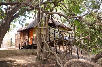 5 días de safari en lodge y casa del árbol en la reserva natural Balule y el parque nacional Kruger, Sudáfrica
