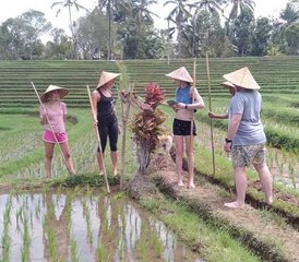 9 Day Culture and Real Life Balinese Activities with Yoga and Meditation Trip in Bali, Indonesia - Photo 4