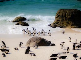 South Africa Retreats & Trips