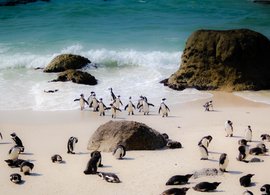 Südafrika Retreats und Reisen