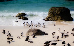 Afrique du Sud Retraites et Voyages