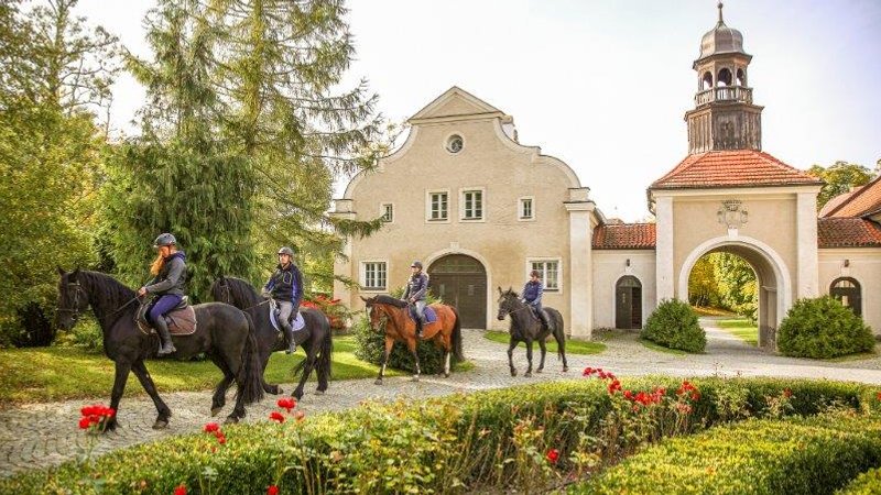 7 Days Awe-Inspiring Horse Riding Holiday in Galiny, Poland