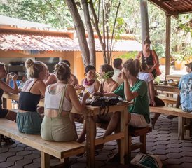 22 días de retiro transformador de yoga: módulo 1 intensivo en Oaxaca, México - Photo 3