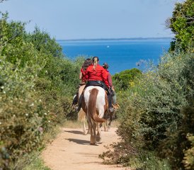 6-daagse Toscane paardrijavontuur: Cala Violina, wijnproeverij en Punta Ala strand in Italië - Photo 2