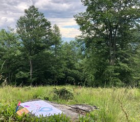 8 Tage Yoga & Healing Arts Retreat mit Wandern und Kraftplätzen, Tessin, Schweiz - Photo 4