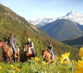 7 Tage Wildtierverfolgung und Naturschutz Reiturlaub in Kanada - Photo 5