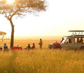 10 jours safari Kenya et Tanzanie : histoires inédites - Photo 2