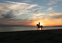 Yoga und Reiten Yoga Retreats