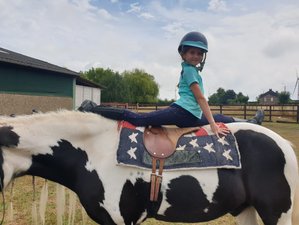 6 Day Kids' and Teens' Horse Riding Camp (6 to 16 Years) in Liège, Belgium