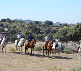 9 Day Transhumance Horse Riding Tour in Spain - Photo 5