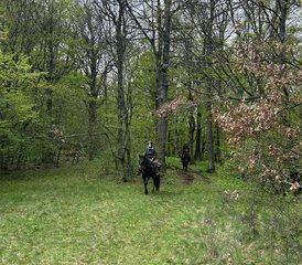 8 Tage Taor Trail Pferdereiturlaub in der Unberührten Natur in Serbien - Photo 2