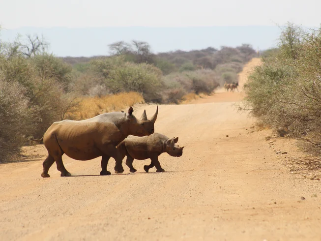 13 Day Kaokoland Odyssey Guided Motorcycle Adventure in Africa's Last Unspoiled Paradise, Namibia photo 6