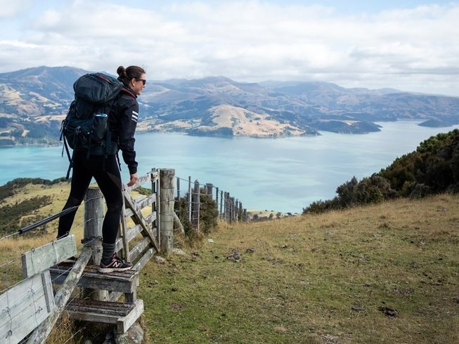 4 Day Classic Walking Tour of Akaroa on Banks Peninsula in New Zealand