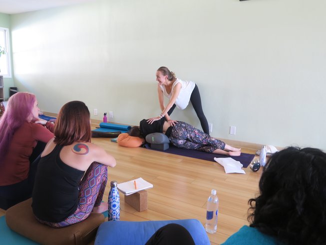 200-Hour Online Yoga Teacher Training - Brett Larkin Yoga