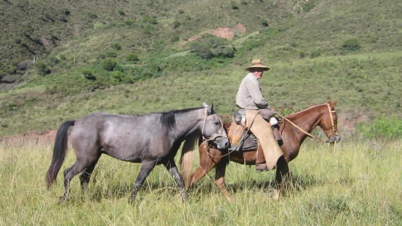 3 Day Mountain Horse Riding and Camping Holiday in Salta