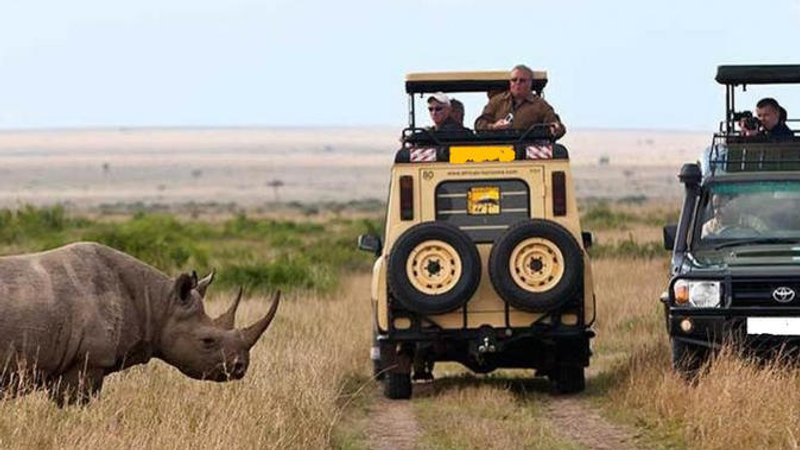 5 Days Thrilling Serengeti and Ngorongoro Crater Camping Safari in Tanzania
