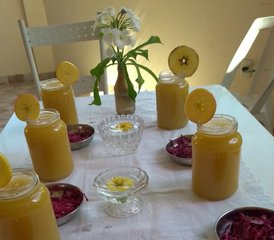 47-Daagse Yoga, Detox en Sapvasten Retreat in Brasília, Brazilië - Photo 1