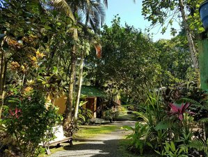 Surf Friendly El Tesoro Hostel in Playa Cocles, Limon