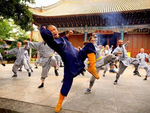 1 Year Shaolin Bundle Path Online Training Membership