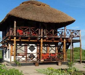 3 jours safari privé Best of en camp sous tente au lac Manyara, Ngorongoro et Tarangire, Tanzanie - Photo 5