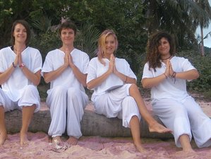 12 Day 100-Hour Transforming Meditation and Yoga Teacher Training in Chiang Mai, Thailand