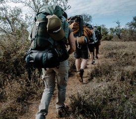 49 Día Safari de Senderismo y Conservación en el Gran Parque Nacional Kruger Solo para Mujeres - Photo 1