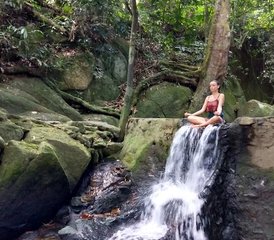 103 días de retiro privado de yoga en Koh Samui, Tailandia - Photo 1