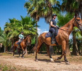 38 Day Equikinetic and Dual Activation Horse Riding Program in Mallorca, Spain - Photo 1