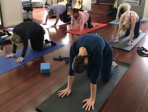 3 Day Group Retreat: Tranquil Yoga Getaways in Maleny, Australia