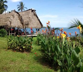 7 días de campamento privado de surf en isla en Chiriquí, Panamá - Photo 4
