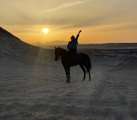 7 Day Horse Riding Holiday and Visit Fascinating Destinations in Cairo, Luxor, and Hurghada, Egypt - Photo 4