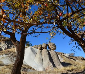 8 jours en stage d’équitation sportive en Cappadoce, Turquie, pour cavaliers confirmés - Photo 4