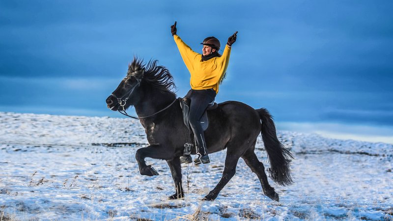 2 Day Winter Getaway with horseback riding in Hella, Iceland