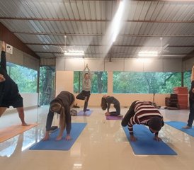 25 jours-200h en formation de professeur de yoga à Rishikesh, Inde - Photo 3