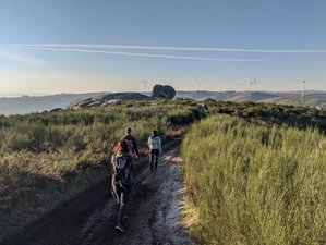7 Day Portugal Summer Bliss Yoga and Adventure Retreat in Monchique, Portugal