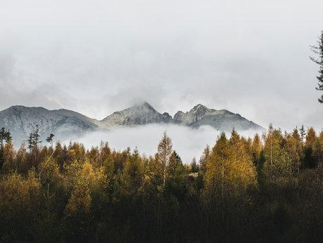 Poprad District