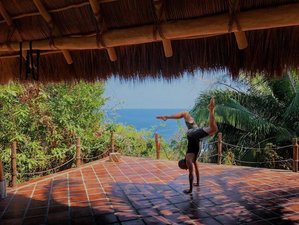 Gay mexico nayarit Free interracial gay thumbnail
