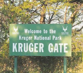 3 Tage Beste Natur-Safari im weltberühmten Kruger-Nationalpark ab Kapstadt, Südafrika - Photo 5