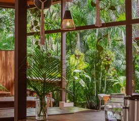 7 días de retiro de autocuidado y bienestar para mujeres en la selva de Guanacaste, Costa Rica - Photo 5