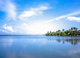 Kochi Retreats & Trips