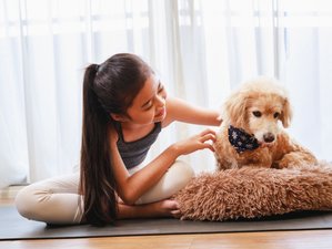 7 Day Find Inner Balance and Zest for Life at This Puppy Yoga Retreat in Cyprus