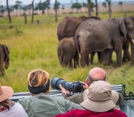 5 jours safari en groupe partagé en Tanzanie au Serengeti, à Tarangire et au cratère du Ngorongoro, Tanzanie - Photo 2
