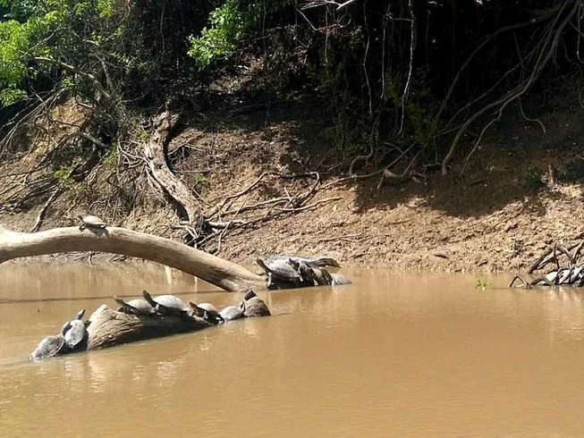 14 Day Guided Amazonia Motorcycle Tour in Bolivia photo 7